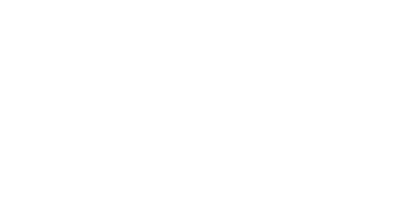 Stint
